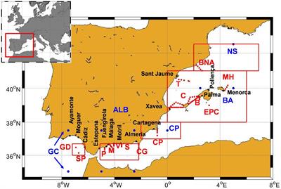 Seasonal and Long-Term Variability of the Mixed Layer Depth and its Influence on Ocean Productivity in the Spanish Gulf of Cádiz and Mediterranean Sea